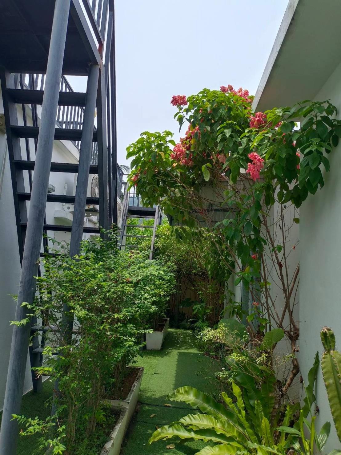 Phannarai House Lamai Beach  Exteriör bild