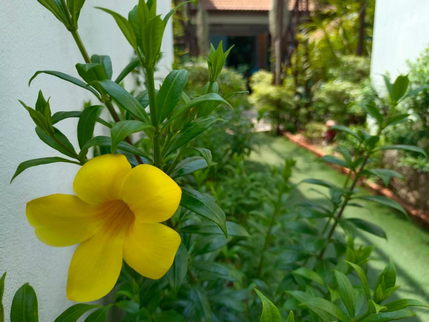 Phannarai House Lamai Beach  Exteriör bild
